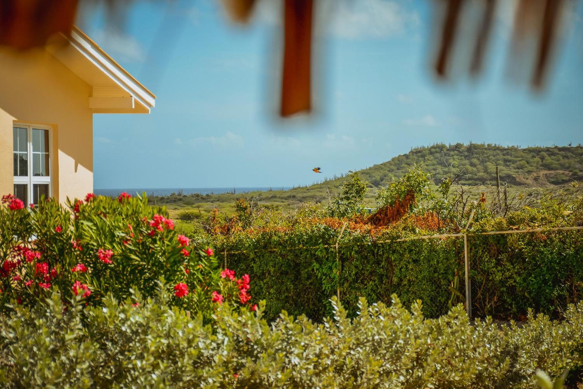 Santa Catharina Resort - Casa Samson Willemstad Exterior photo